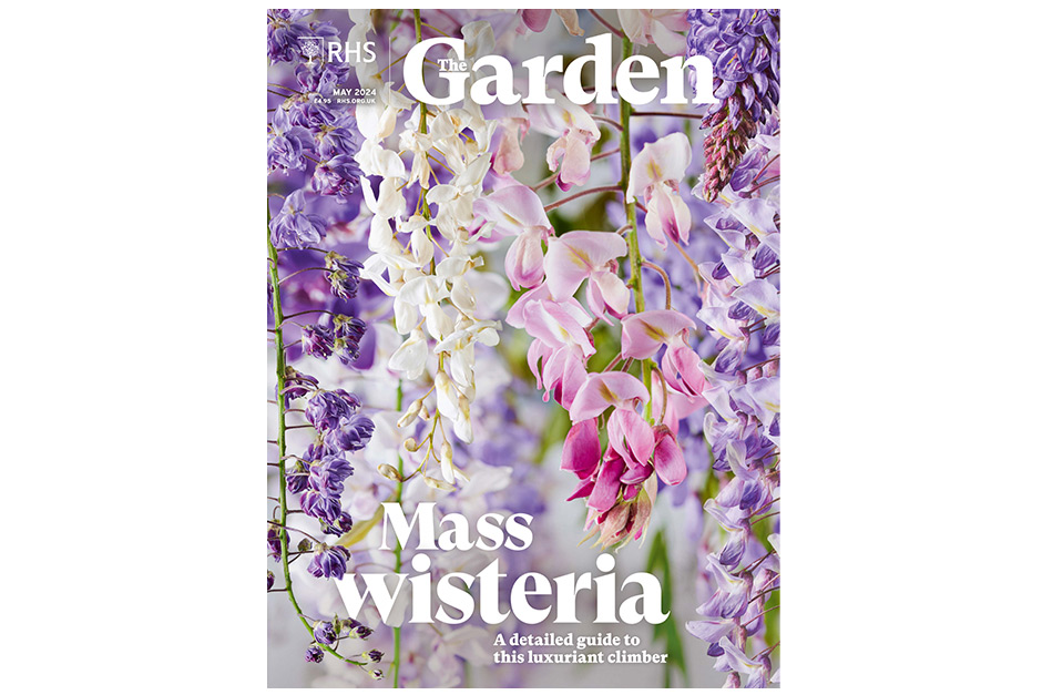 Explore a detailed guide to Wisteria, a magnificent climber that is hard to beat. Find alpines for rock gardens or containers at a Cambridgeshire-based nursery. See what happens to RHS show gardens after the event. Get four expert recommendations for the best pond plants. Discover sustainable gardening taken to new levels at RHS Partner Garden Nant-y-Bedd in Wales. Follow the journey of an innovative north London garden with a desire to let the planting develop undisturbed.Available for members on RHS The Garden app.