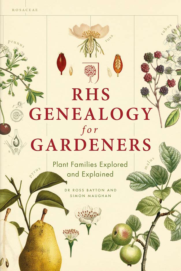 Genealogy cover