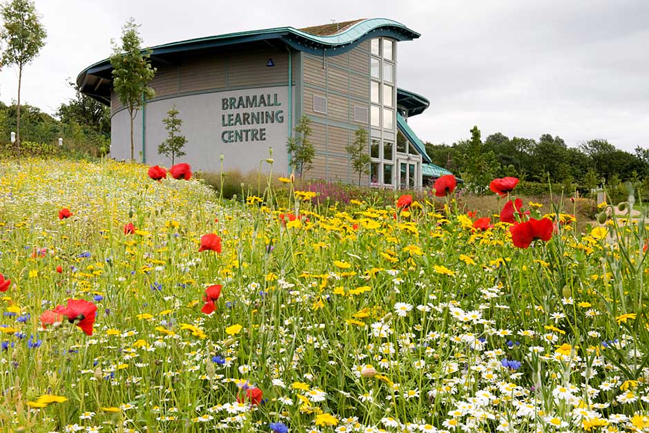 Schools on a guided visit are hosted in the Bramall Learning Centre. The building is a fabulous example of sustainability, generating the equivalent of its own energy, heat and water requirements via a ground source heat pump, rainwater recycling, a sedum roof and solar water heating. With its three classrooms, the centre supports learning for all ages and abilities.