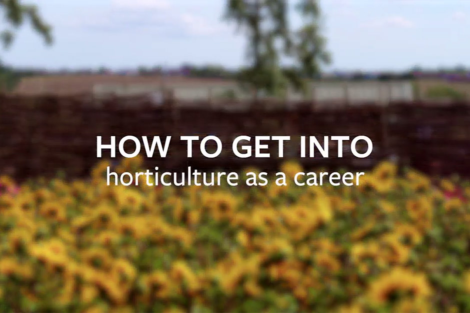 Horticulture as a career