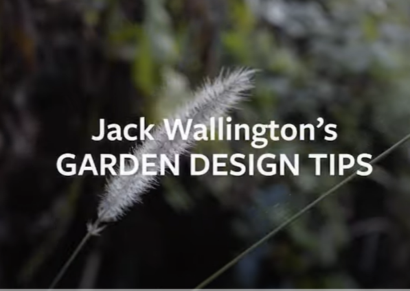 Jack Wallington’s garden design tips