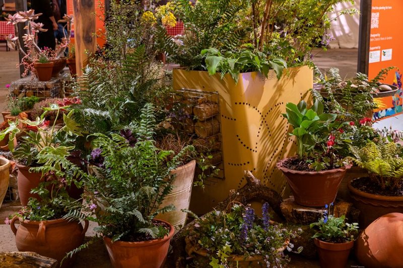Biodiverse Containers pots and planting