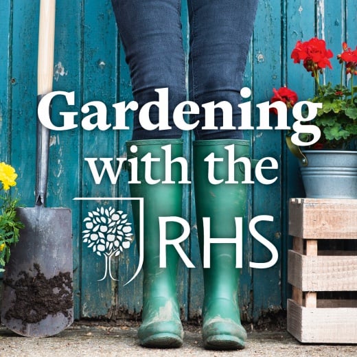 Hear about gardening and microbiomes on the RHS podcast