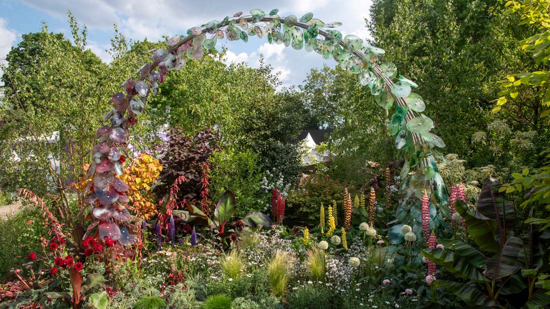 RHS Britain in Bloom 60th Anniversary: The Friendship Garden