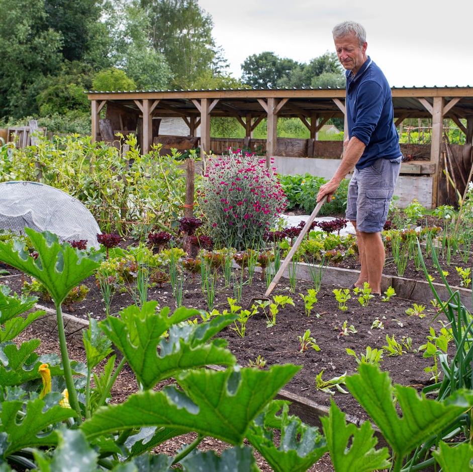 No-dig expert Charles Dowding at his Somerset garden, Homeacres