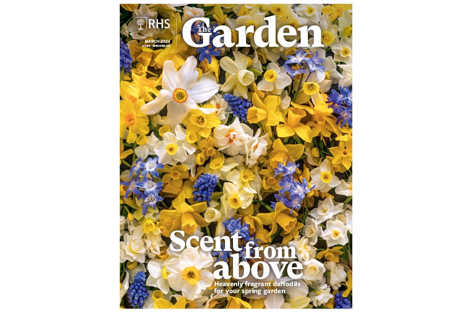 Add a heavenly dimension to your garden with fragrant daffodil blooms. Discover 17 small water tips that will make a big difference. Explore a tranquil waterside space at Fullers Mill in Suffolk. Learn how growing yourself happy and being outside is key to helping with wellbeing. Get four expert recommendations on growing plants as a piece of living history. See the brightest bulbs take centre stage at Broadleigh Gardens in Somerset.Available for members on RHS The Garden app.