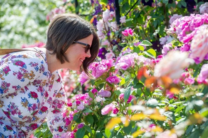 A visitor smelling a rose in the Rose Garden at RHS Garden Rosemoor