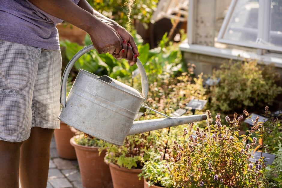 Watering containers is a regular task during the growing season