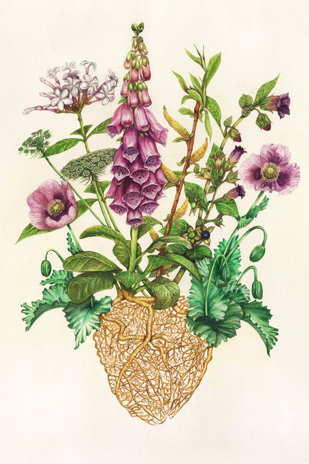 Digitalis and others artwork