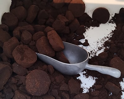 How to use coffee grounds for plants / RHS Gardening