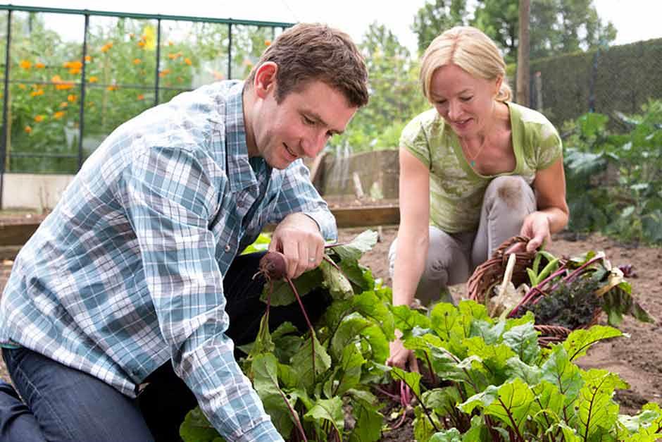 Jardinage sur sols humides rhs gardeningroyal horticultural society profile
