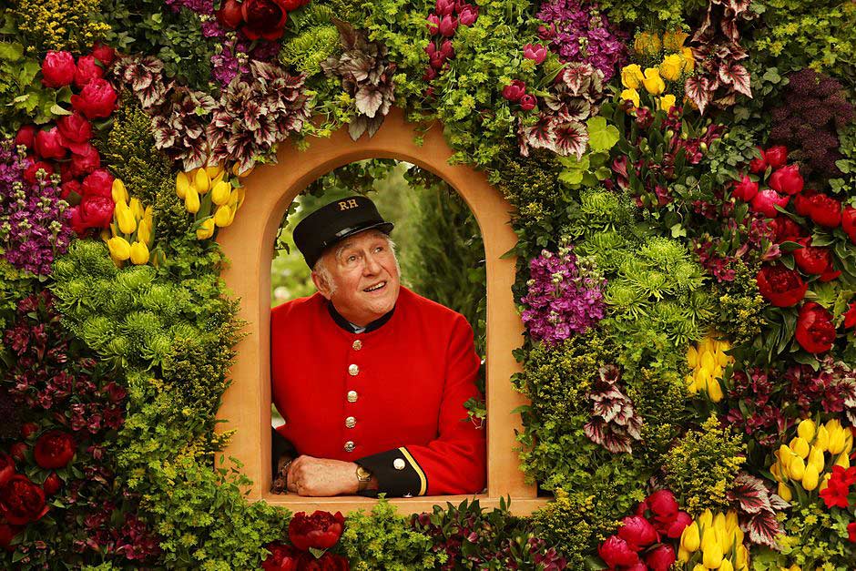 a Chelsea Pensionser looks out of a floral window display
