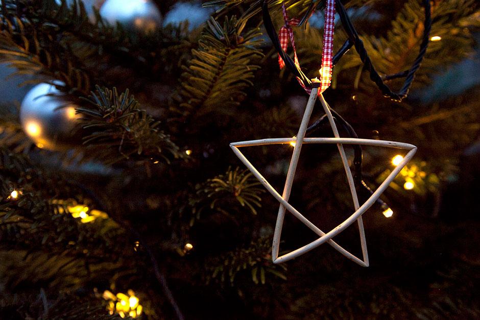 RHS Garden Harlow Carr Events & attractions in Harrogate, Yorkshire