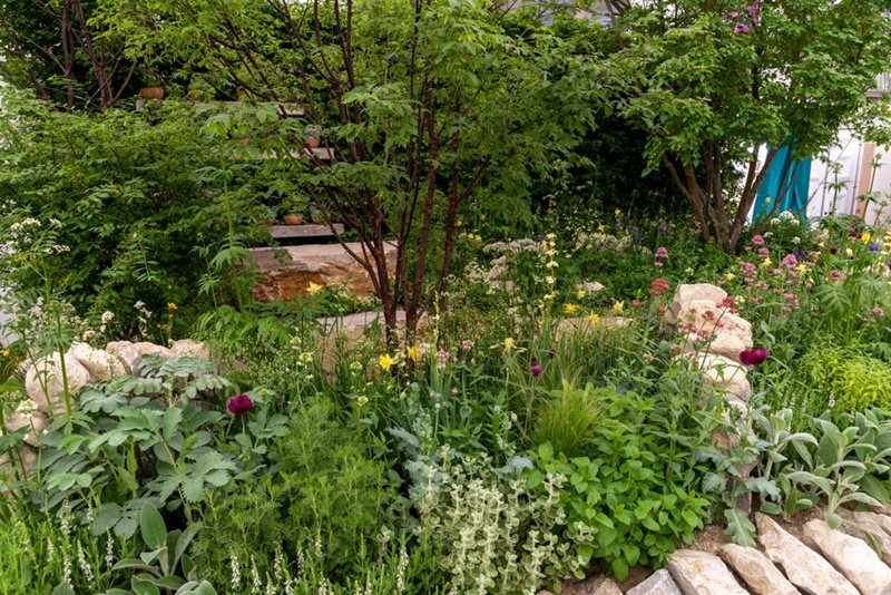 The Natural Affinity Garden for Aspens