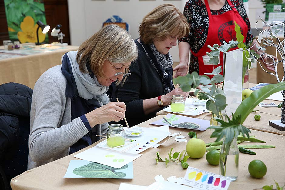 Find out how to enter RHS Botanical Art exhibitions / RHS Gardening