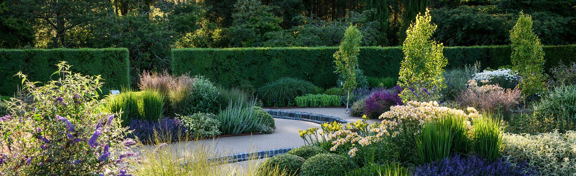 RHS Garden Rosemoor