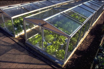 coldframes and mini-greenhouses