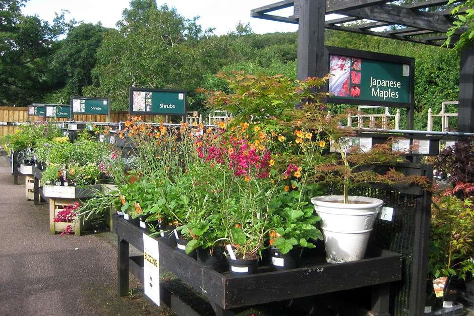 Shopping at RHS Garden Rosemoor / RHS