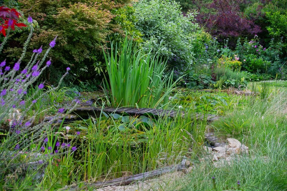 Adding a pond is a great way to bring more wildlife into your garden