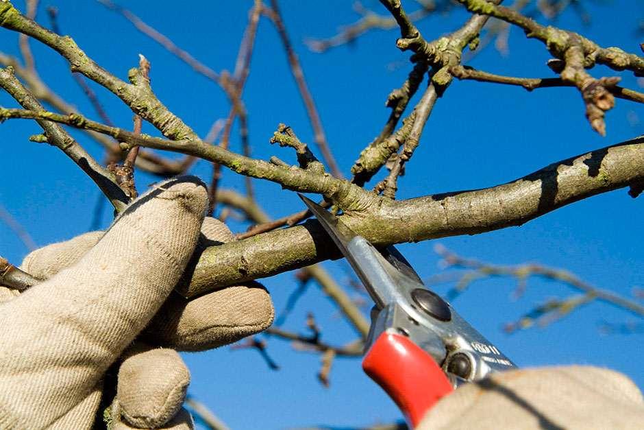 Pruning made easy