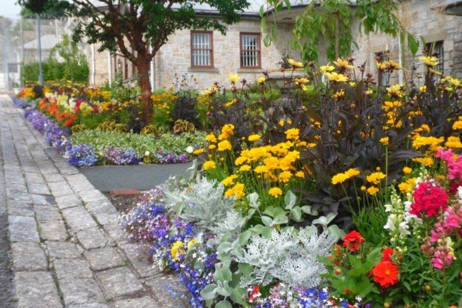 HMP Dartmoor wins RHS gardening award / RHS Gardening