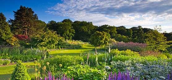 RHS Gift Membership (UK Gardens)