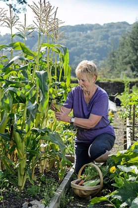 Gardening is increasingly shown to have health benefits