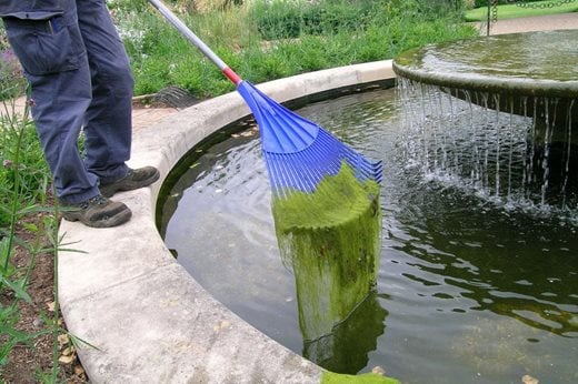 Clearing blanket weed from a pond
