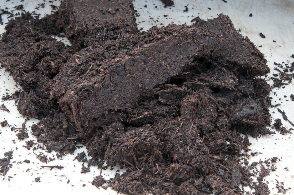 Tipping out spent compost lets you assess its condition and decide how best to reuse it