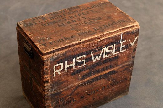 Wooden box used for transporting plant hunting specimens. The box is stamped with the address of 'The Director. Royal Horticultural Soc. Garden, Wisley’. It also carries the mark of T.Cook & Son Rangoon and the address of 'J C Williams at Caerhays Castle, Cornwall'.