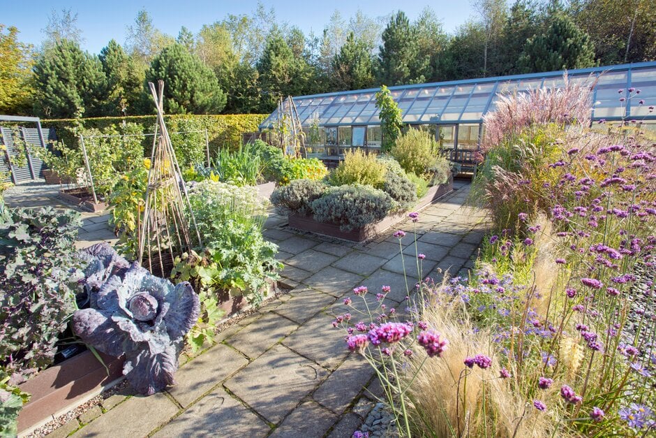 Sitting alongside the Bramall Learning Centre, the Teaching Garden has a broad range of planting environments and habitats, all helping to form the basis of different types of learning. The Teaching Greenhouse offers another learning space, where&nbsp;tender and exotic crops are grown through the year.