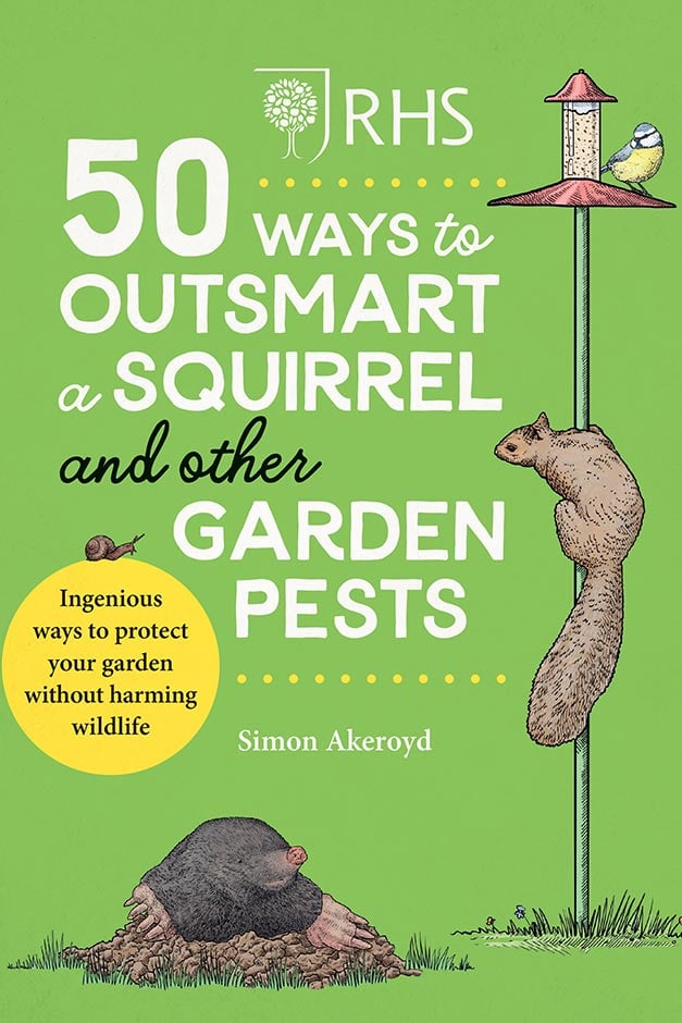 Ways to outsmart a squirrel cover
