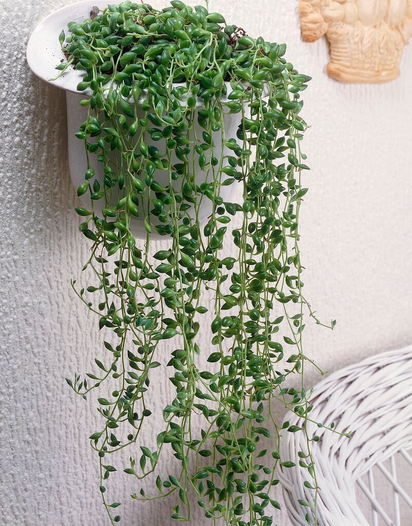 string of beads