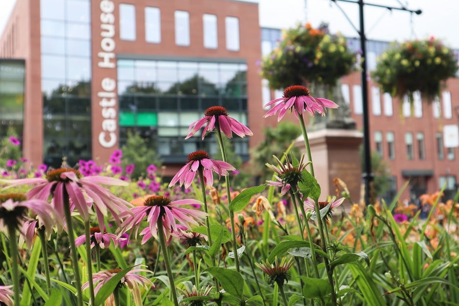 Beautiful planting in the town centre in Newcastle-under-Lyme