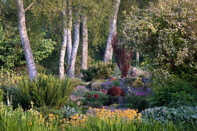 Fullers Mill Garden in Suffolk Fullers Mill Garden in Suffolk