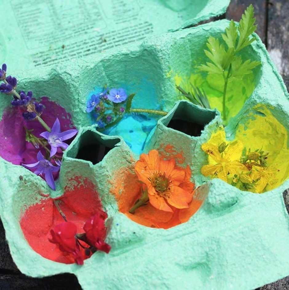 Bright coloured natural materials in an egg box