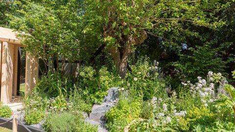 Soft muted colours and clouds of fresh planting contrast beautifully with the clean, defined lines of the sauna building and pool.