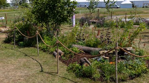 A Celebration of Compost and Community
