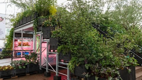 Set over two main levels, this stepped garden explores growing edibles in an urban setting using containers and hydroponic technology