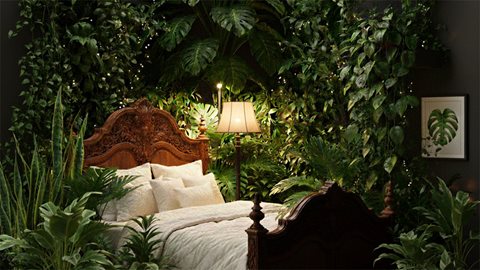 The Biophilic Blueprint