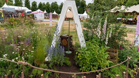 The Moonshadow Moth Garden