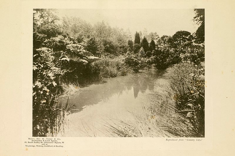 Photograph of pond on the Oakwood & Glebe Farm Estate, Wisley 1903