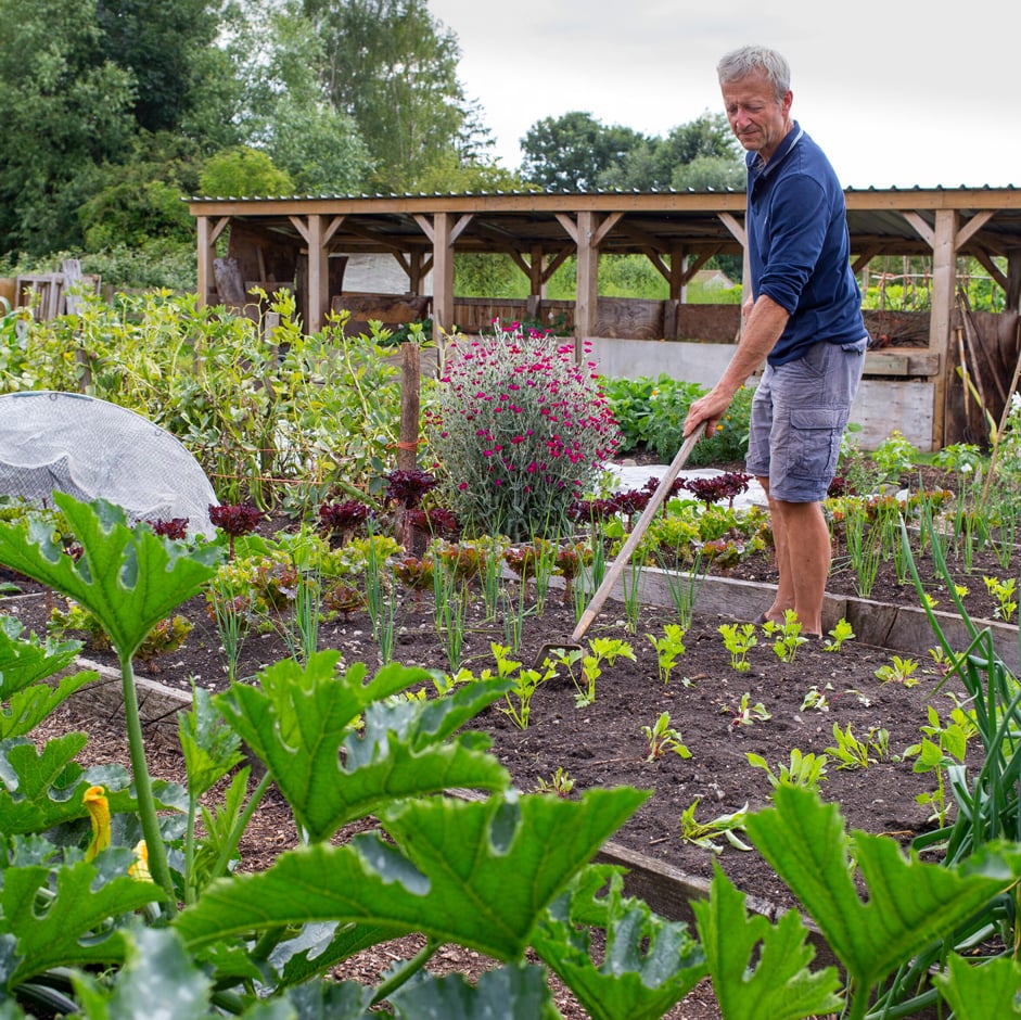 No-dig gardening / RHS Gardening