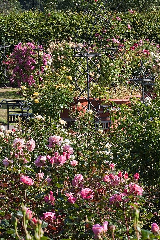 RHS Garden Wisley : Days and events in Surrey / RHS Gardening on Rhs Garden Design
 id=89615