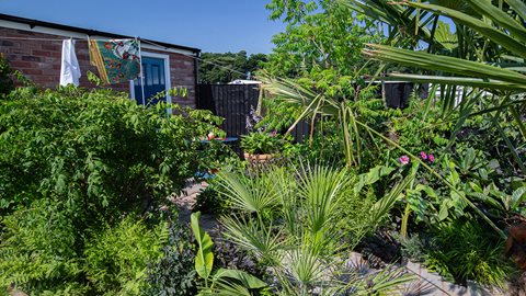 A pocket-sized back garden with a simple layout and a brick path through it's centre to the back door. Here the planting scheme delivers a strong sense of place