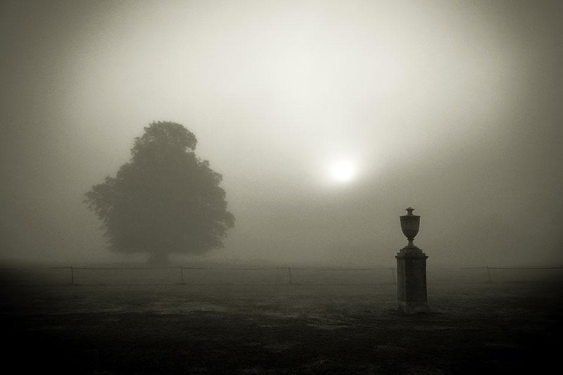 Syon Park in mist. Image: Simon Hadleigh-Sparks