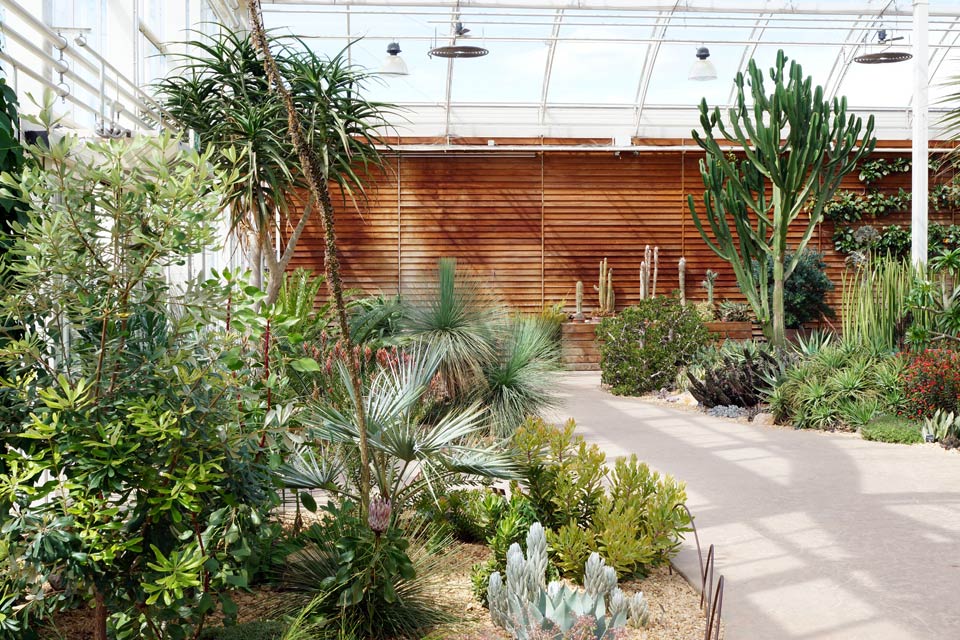 Our facilities also include The Glasshouse, with more than 5,000 cultivated plants growing within three different temperature zones &ndash; Temperate, Arid and Tropical.