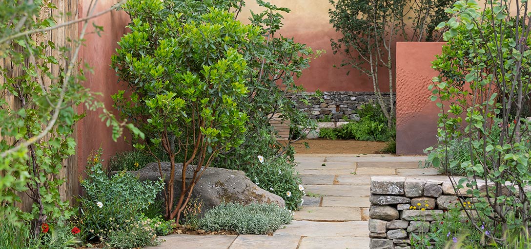 Design ideas to inspire from RHS Chelsea 2025 / RHS Gardening