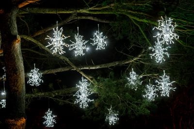 RHS Glow at RHS Garden Harlow Carr