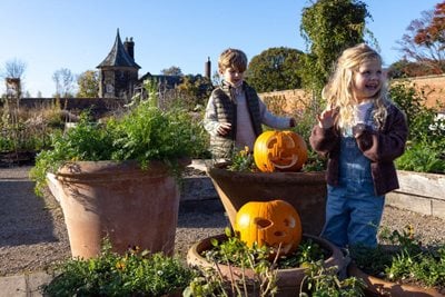Two children discovering carved pumpkins in planters at RHS Bridgewater